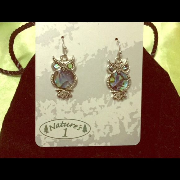 NEW! Nature’s 1 Abalone Earring & Necklace Set - Picture 2 of 2